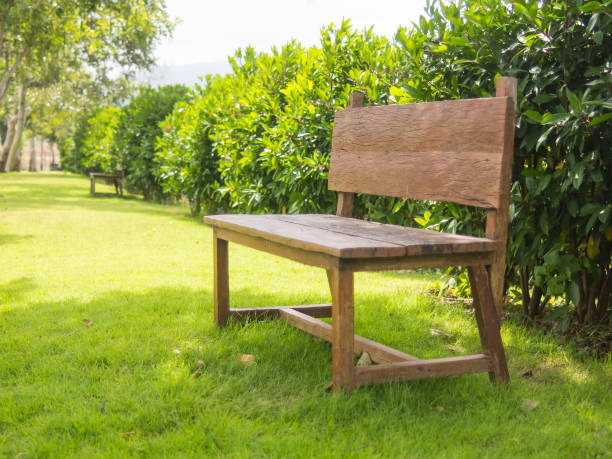 istock Wooden bench in the park ,soft focus 640109040