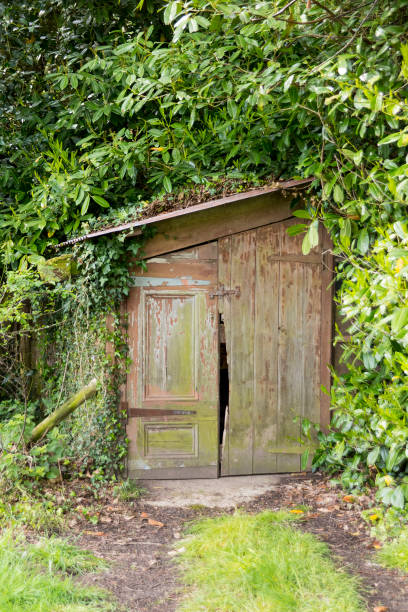 istock Small old wooden shed mostly covered by ivy and leaves 640112626