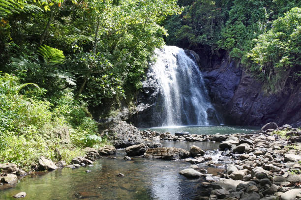 istock Vuadomo Waterfall Fiji 640115790