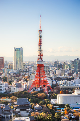 Elevated View of Tokyo Tower and modern skyscrapers.