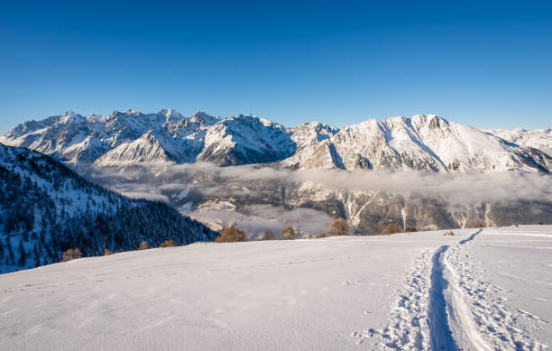istock Tracks in the Valais snow 640117828