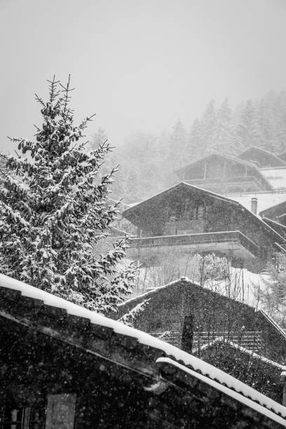 Snow covered barn in front of a wintry forest in the Bavarian Alps.