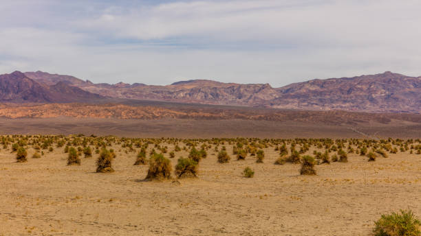 istock Sand dunes are nearly surrounded by mountains on all sides. 640120600