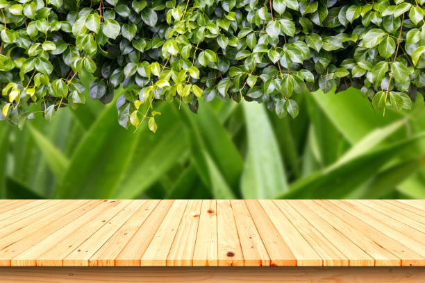 istock Wooden table in the garden, ideal for product placement. 640121106