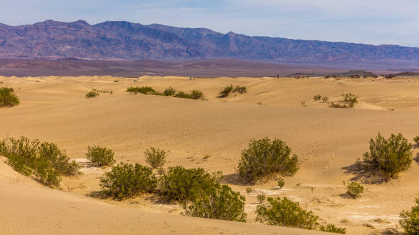 istock Sand dunes are nearly surrounded by mountains on all sides. 640123080