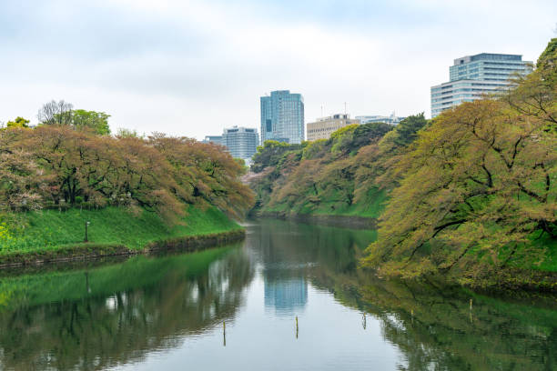 istock Nice lake in the nice park in Tokyo 640123250