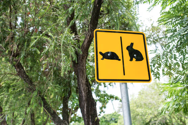 warning sign cross the road rabbit and turtle - the hare and the tortoise imagens e fotografias de stock