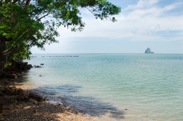 istock Movement of water wave in the sea with stone beach 640126480