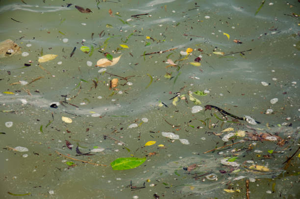 Waste floating on sea in andaman ocean at Ko Yao Noi in Phang Nga, Thailand