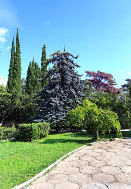 istock In the subtropical park 640127540