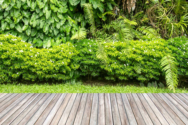 istock Wooden decking and plant garden decorative. 640127634