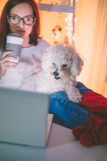 istock Woman works hard on computer at Christmas time. 640130318