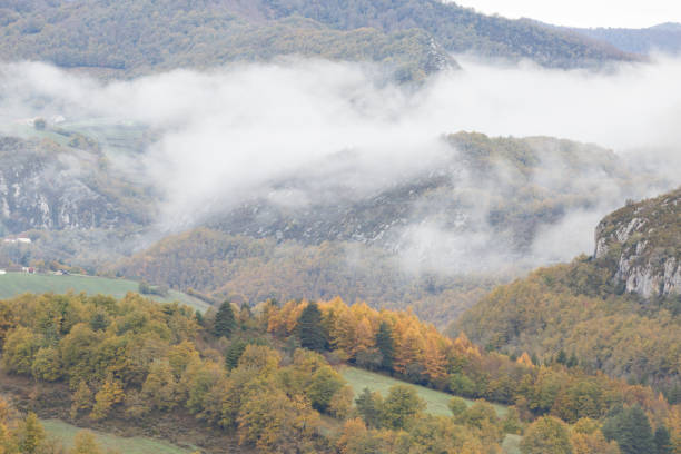istock Irati forest, Pamplona, Navarra, Spain. 640131728