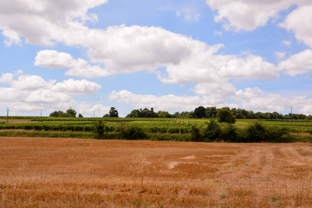 istock European natural countryside 640134456