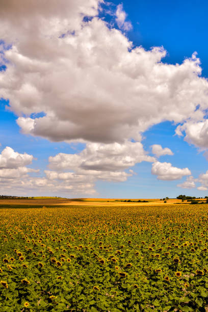 istock European natural countryside 640134476