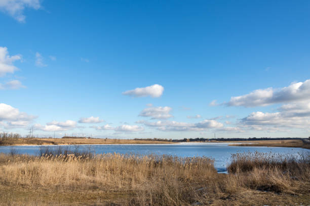istock Frozen river with reeds on the beach 640139434