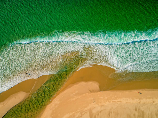 istock Aerial View Amazing Seascape with Small Waves on Sandy Beach 640139972