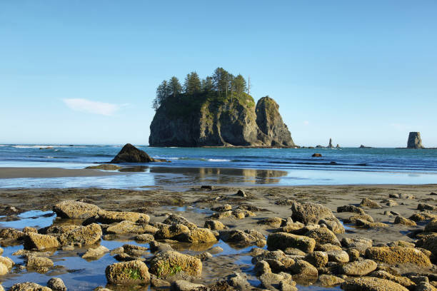 istock View of rocks in the ocean from Second beach 640141998