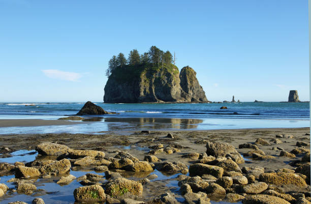 istock View of rocks in the ocean from Second beach 640143306