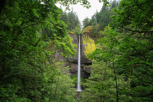 Latourell falls waterfall in the Oregon side of the Columbia River Gorge, along the Historic Columbia River Highway.