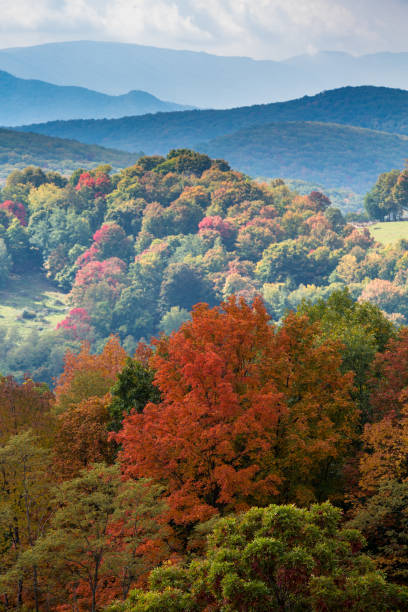 istock Colorful autumn leaves in West Virginia 640149290