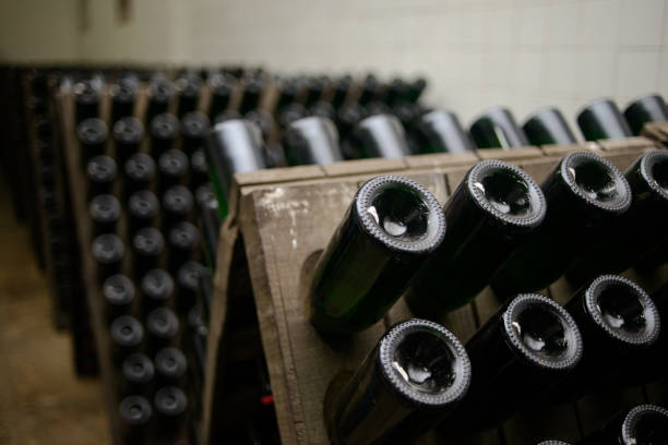 collection of old wine bottlescollection of old wine bottles
