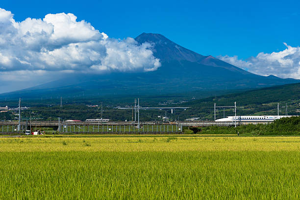 Bullet train, Shinkansen travel below Mount Fuji in Japan Shizuoka Prefecture, Japan - September 3, 2016: Bullet train, Shinkansen travels below Mt. Fuji with green ripe rice field, paddy on the foreground. Iconic Japan sightseeings bullet train mount fuji stock pictures, royalty-free photos & images