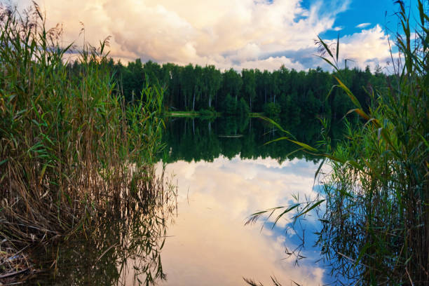 istock Sunset near the summer lake 640157800