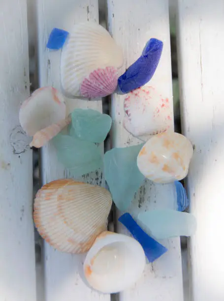 A collection of sea glass and sea shells