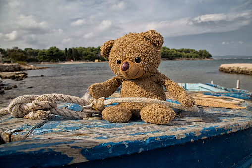 Brown teddy bear sit in the boat by the sea