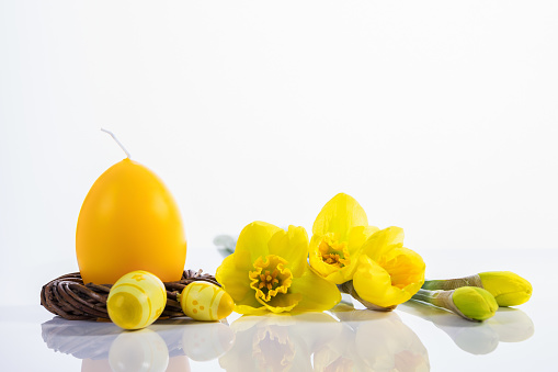 Happy holidays. Easter egg candle and daffodils on a white background