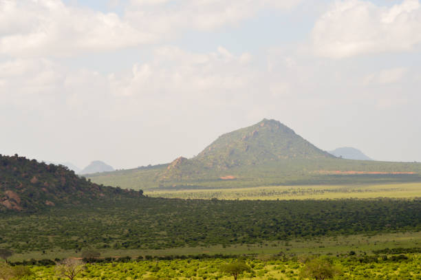 istock High view of the savannah 640161000