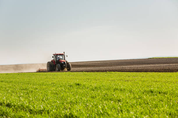 istock Farmer in tractor preparing land with seedbed cultivator. 640162160