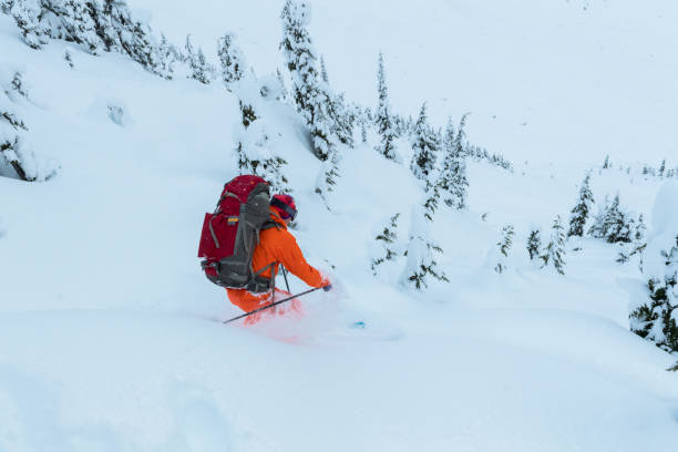 istock Skiing in deep powder through the trees 640163226