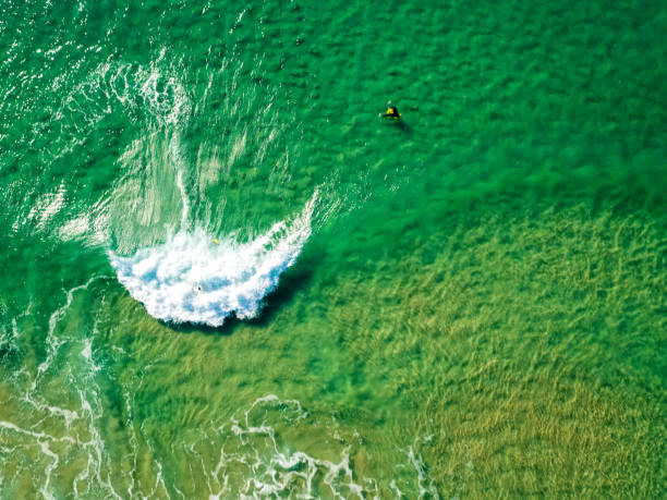 istock Surfers Waiting Waves on the Surface of the Ocean 640167356
