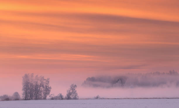 istock Pink fog in winter morning 640167468