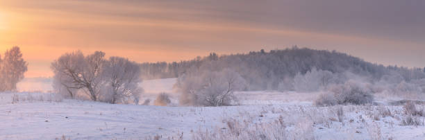 istock Trees with white hoarfrost on snow in frosty morning 640167834
