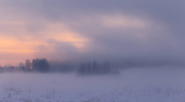 istock Winter trees with hoarfrost in fog 640168178