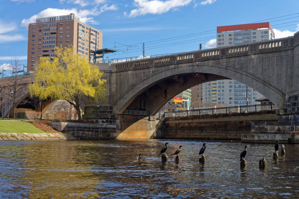 istock Black Gannets at Charles River and Lechmere Viaduct in Boston 640170758