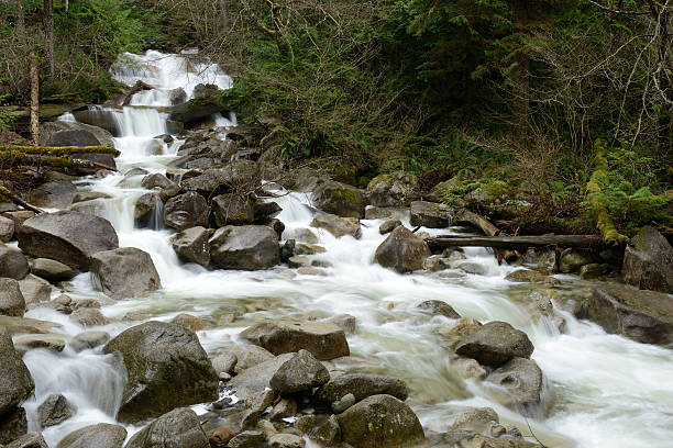 Creek at Shannon Falls Provincial Park, British Columbia, Canada