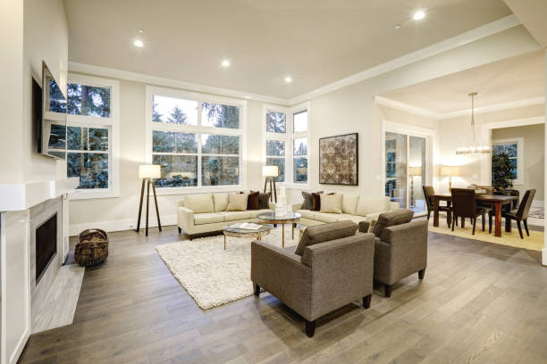 istock Chic light living room design with dark floors. 640172954