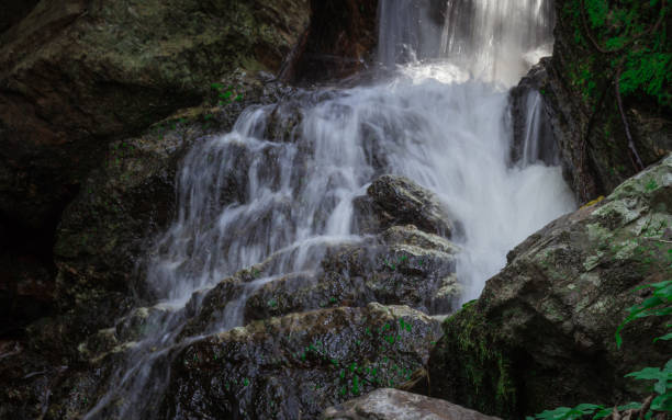 istock waterfall of Thailand in the jungle. 640175982