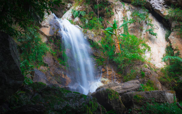 istock waterfall of Thailand in the jungle. 640176226