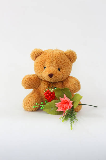 Brown teddy bear and pink roses on a white background.