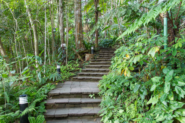 istock walk way in the garden 640178782