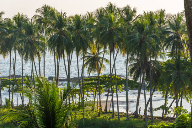 Playa hermosa en Costa Rica - pacific coast - wild beach with rainforest