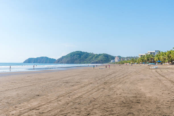 ビーチジャコ太平洋沿岸のコスタリカ - palm tree tree isolated landscaped ストックフォトと画像