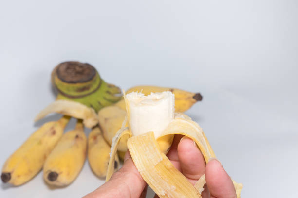 istock Cultivated banana fruits on white background. 640184810