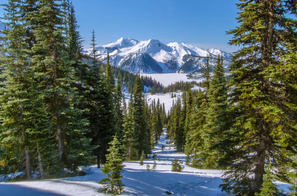 Panoramic winter landscape during snowshoeing expedition, Whistler, Canada This photo was taken during my 2 days expedition in Garibaldi provincial park, Canada. garibaldi park stock pictures, royalty-free photos & images
