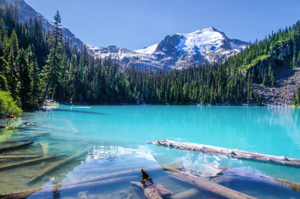 Panoramic turquoise color lake in mountainscape, British Columbia, Canada Beautiful summer hiking at Joffre lakes, Joffre lakes provincial park, British Columbia, Canada. pemberton bc stock pictures, royalty-free photos & images